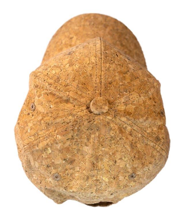 Cork Baseball Cap - Printed with Kiwi Design